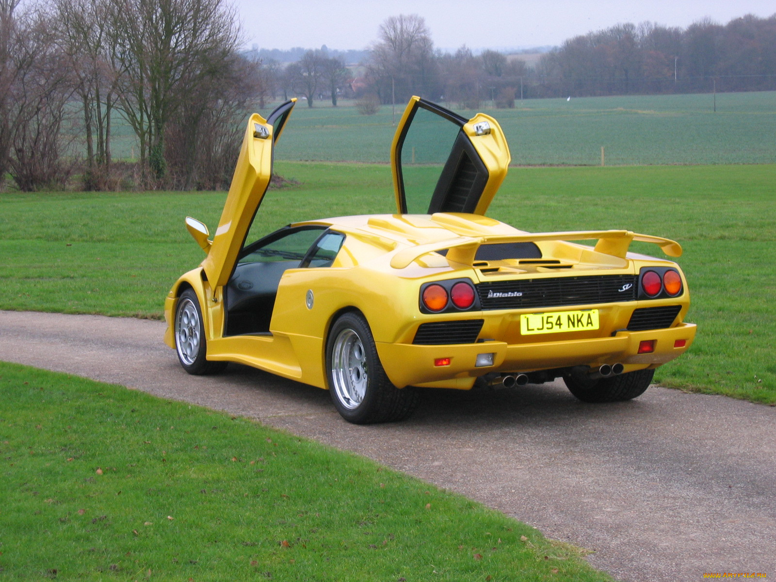 , lamborghini
